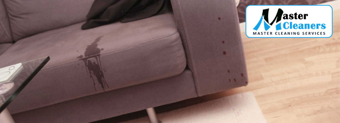Upholstery Stain Removal