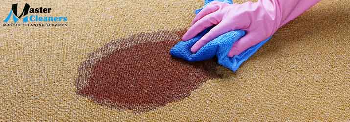 Residential Carpet Stain Removal