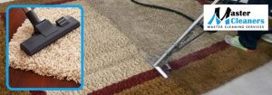 Rug Cleaning Service